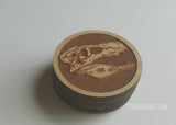 T-Rex Skull Dinosaur Magnets 3-Pack